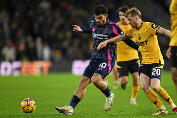 会有更多的 会有更多的