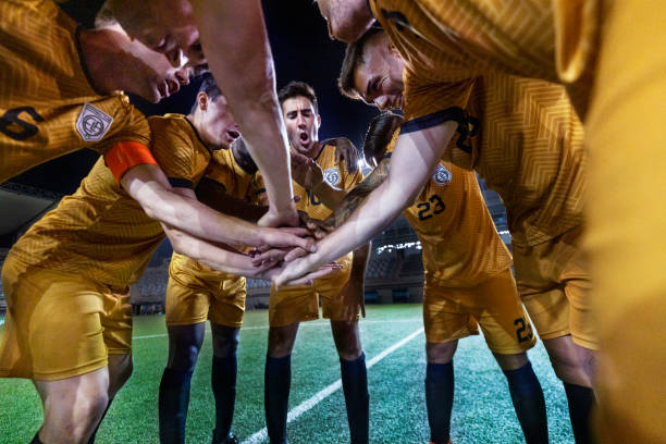 日益复杂 日益复杂