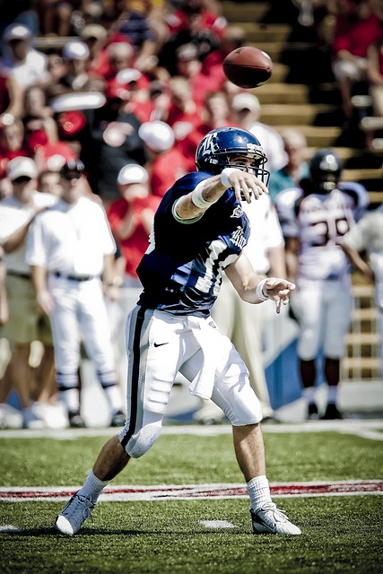 价值也被大 价值也被大